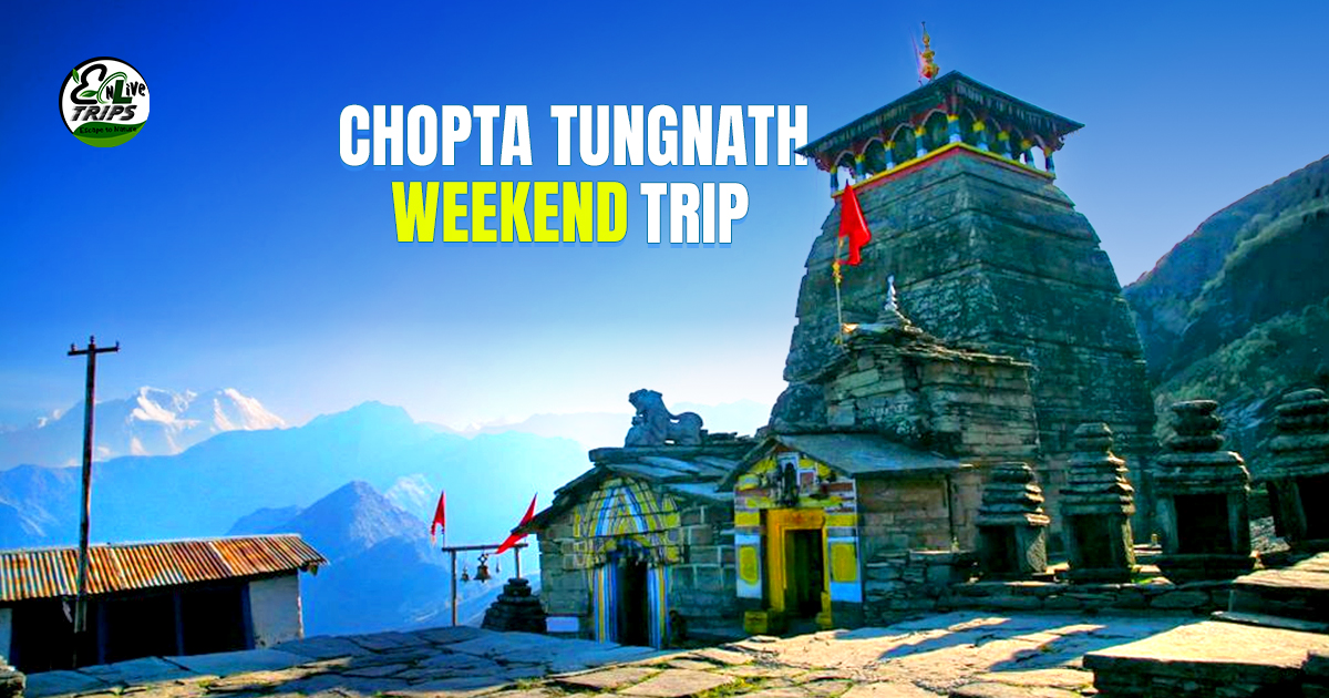 Chopta Tungnath weekend trip
